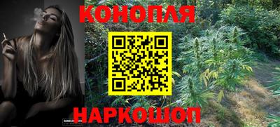 шишки Апрелевка
