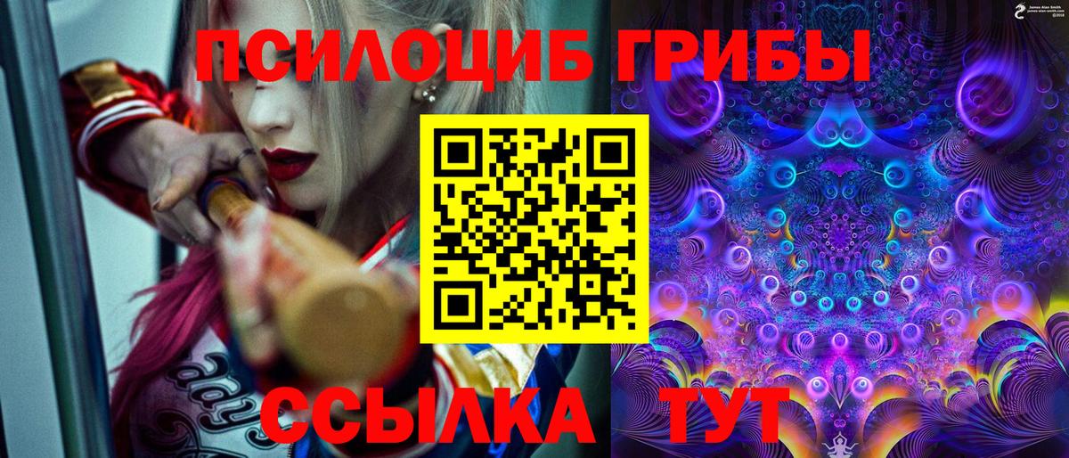 Берёзовский  Псилоцибиновые грибы ЛСД  Вход с VPN 