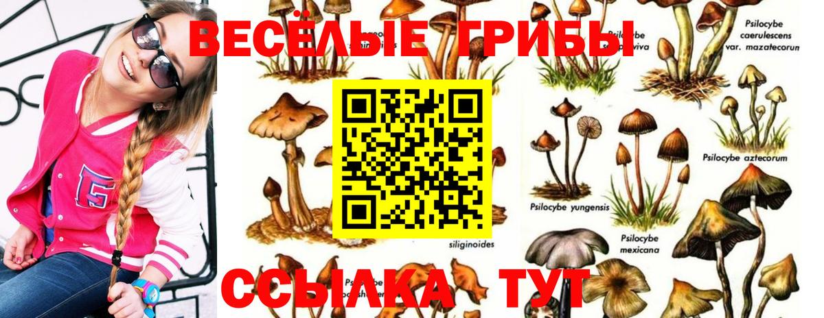 Галлюциногенные грибы ЛСД Берёзовский